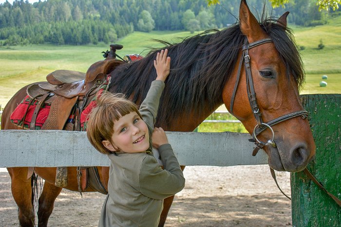 A girl caresses a saddled horse in a fence