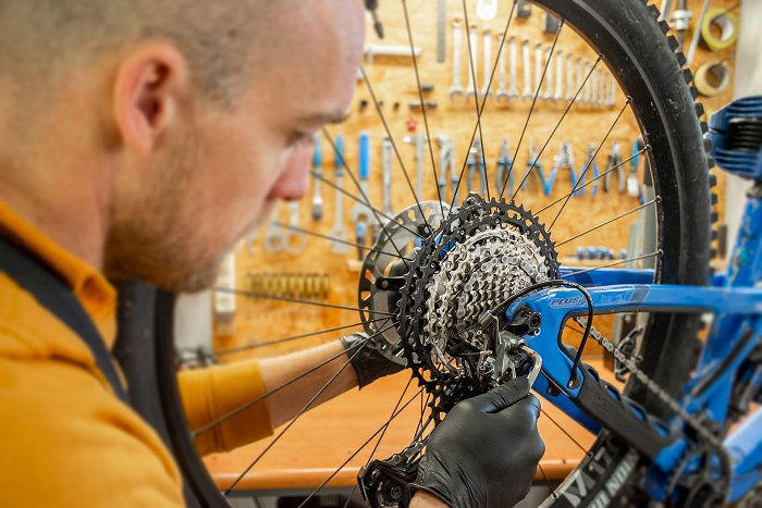 The bicycle servicer is repairing the transmission on the rear wheel