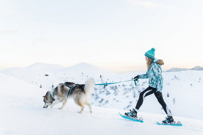 Una ragazza con le ciaspole porta un cane lungo una sponda innevata